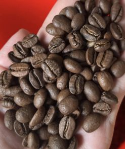 Roasted Honey Robusta S18