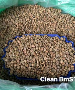 Clean Robusta Grade 1 – Screen 18