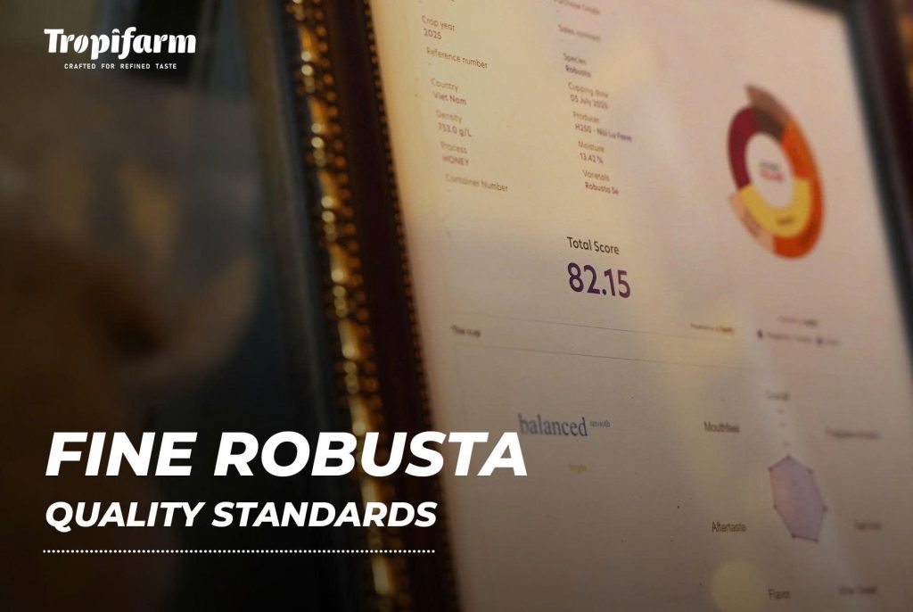 fine robusta vietnam specialty coffee beans