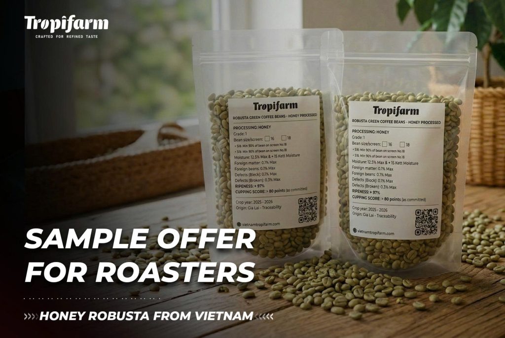 Honey robusta coffee beans from Vietnam