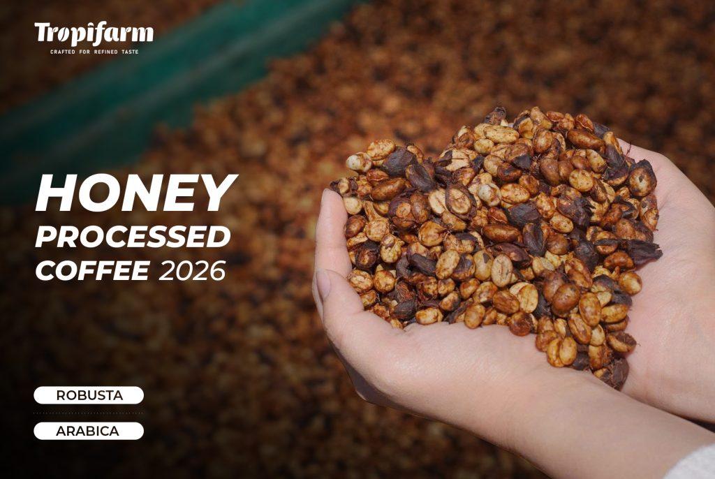 honey process coffee beans vietnam drying mucilage