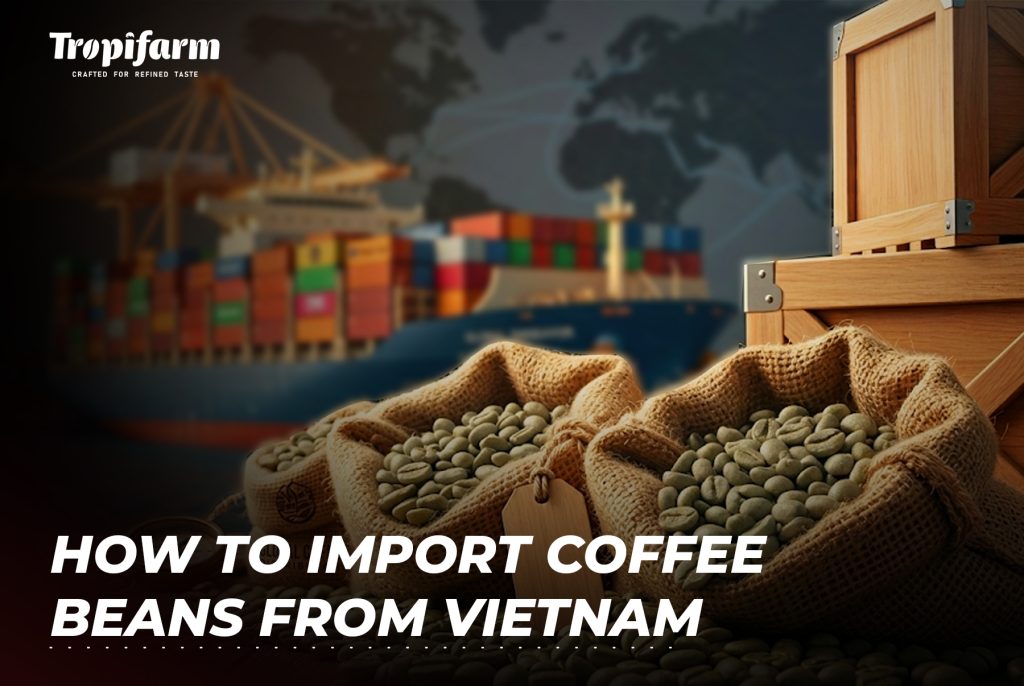 how-to-import-coffee-beans-from-vietnam-tropifarm