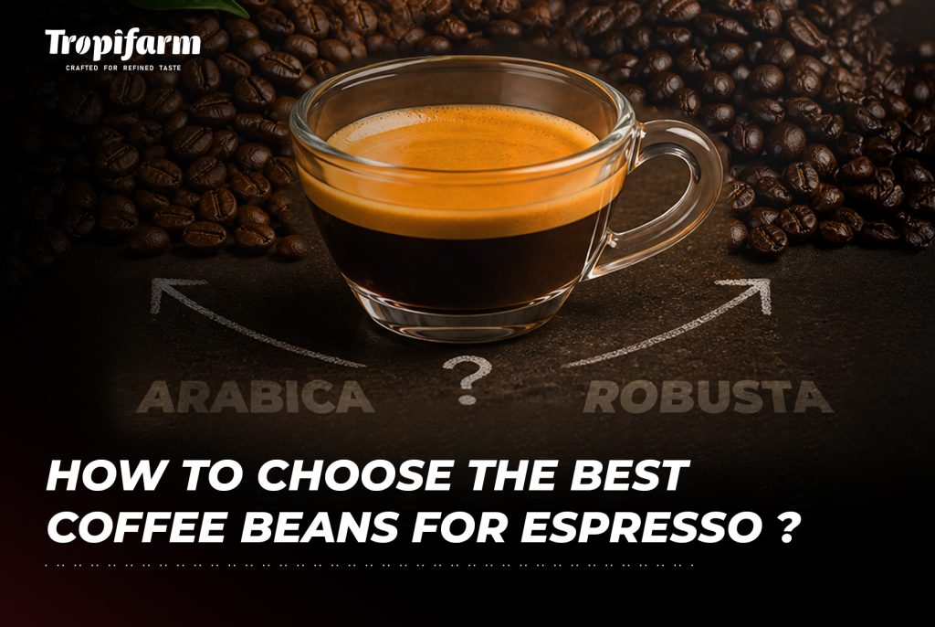how-to-choose-the-best-coffee-beans-for-espresso