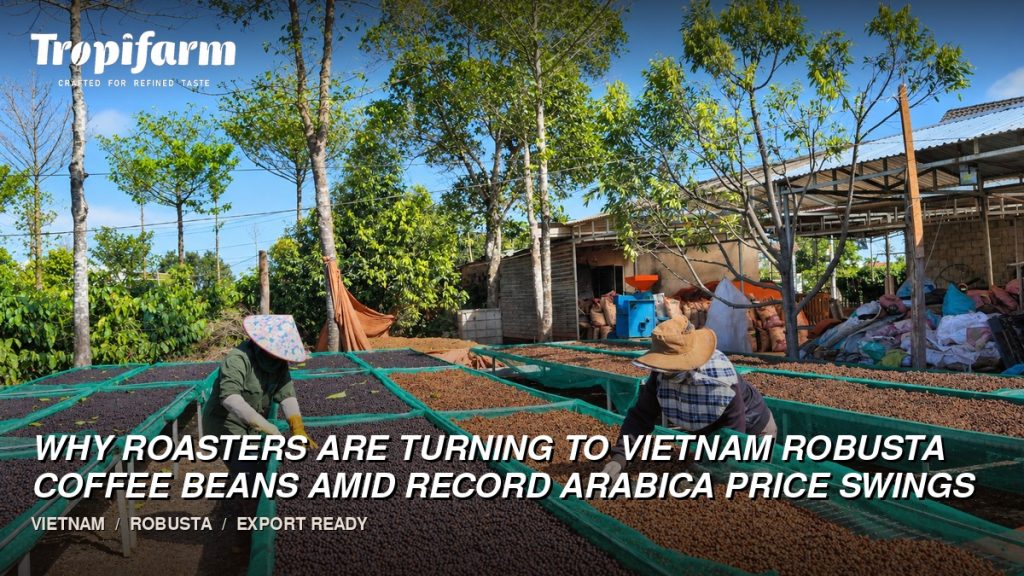 Vietnam Robusta coffee beans as roasters manage Arabica price swings