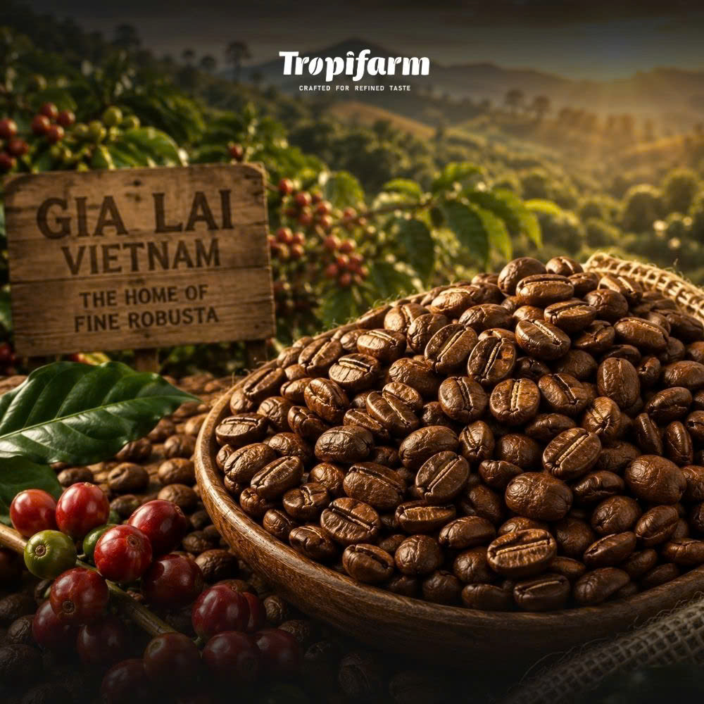 Custom coffee roasting and espresso blend development in Vietnam