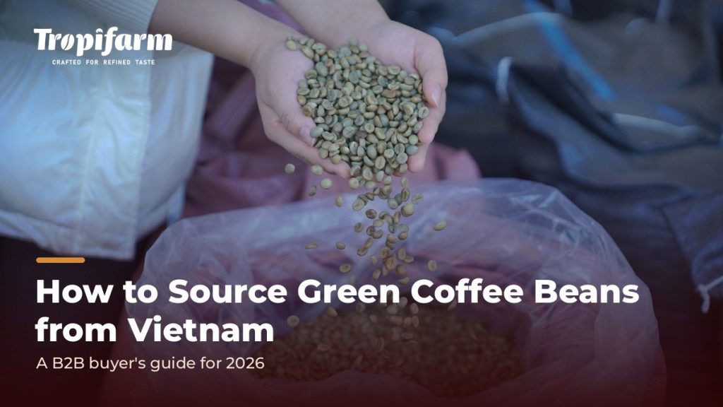 Sourcing green coffee beans from Vietnam – Tropifarm Robusta export