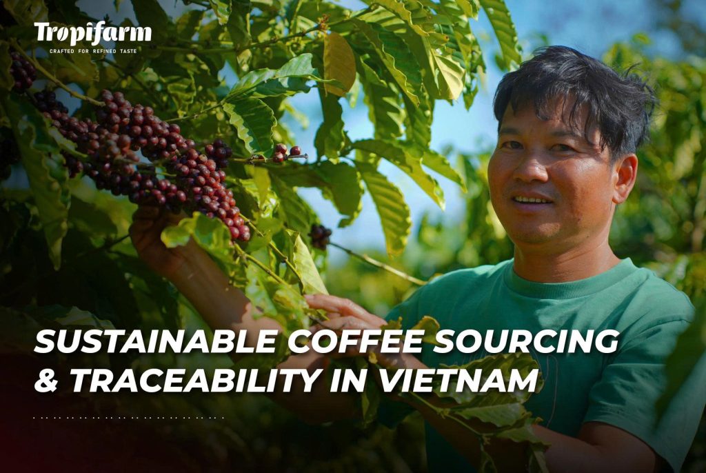 Sustainable coffee sourcing and traceability in Vietnam