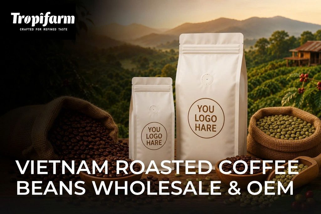 Vietnam roasted coffee beans wholesale from Tropifarm