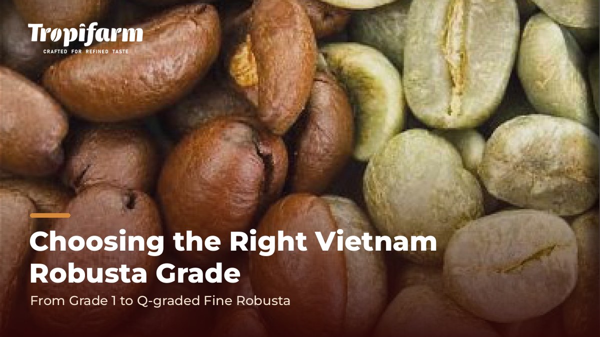 Source green coffee beans from Vietnam: Robusta green and roasted beans